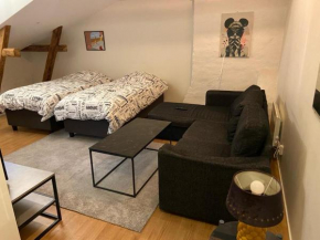 ATTIC FLOOR in Stockholm City! 918 Stockholm
